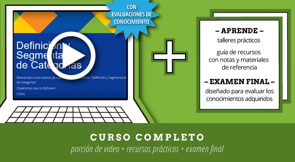 Definición y Segmentación de la Categoría